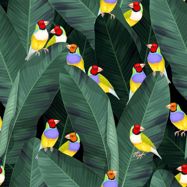 Wektor bezszwowy wzór z ptakami i liśćmi palmowymi — Wektor stockowy