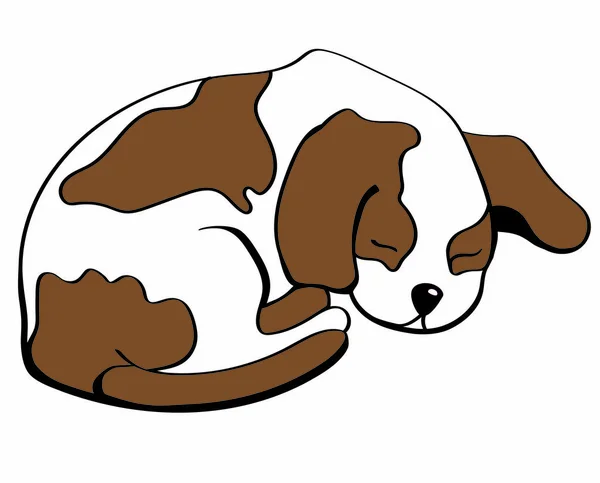 Cute Dog White Brown Spots Sleeping — Stock Photo, Image