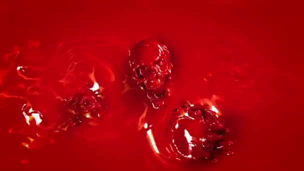 Кровавая баня — стоковое видео