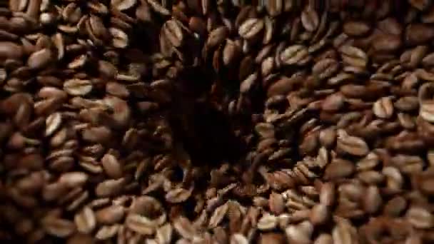 Chicchi Caffè Tostati Macinino Che Cadono All Interno Della Macchina — Video Stock