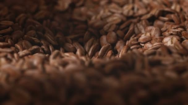 Chicchi Caffè Tostati Macinino Che Cadono All Interno Della Macchina — Video Stock