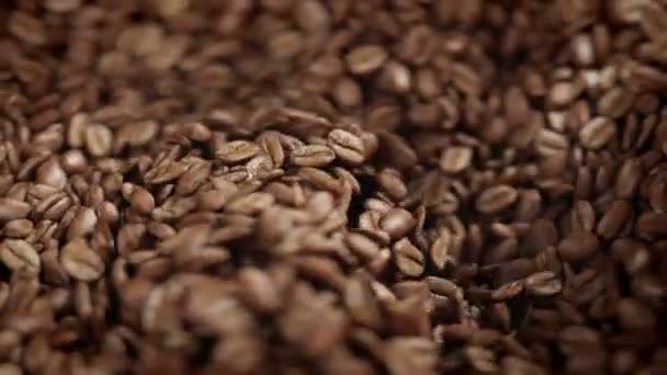 Kahve Çekirdekleri Öğütücüde Kavrulmuş — Stok video