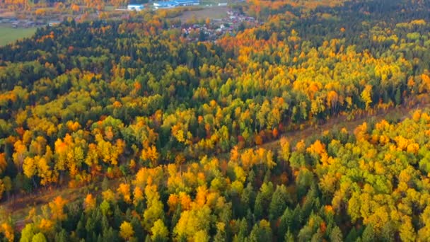 Kleurrijke herfstbos waar de spoorlijn doorheen gaat, luchtfoto. — Stockvideo