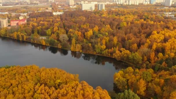 Top view of the Big Garden Pond in Timiryazevsky Park in autumn, Moscow Russia. — Stock Video