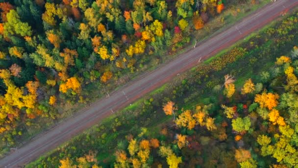 Kleurrijke herfstbos waar de spoorlijn doorheen gaat, luchtfoto. — Stockvideo