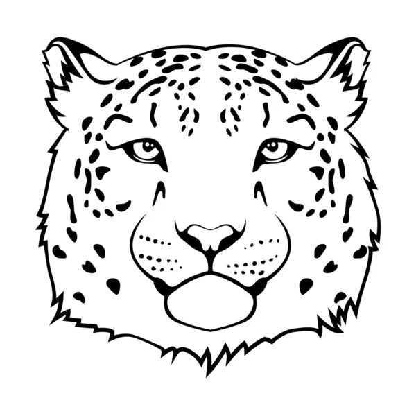 Cabeza de leopardo de nieve — Vector de stock