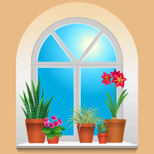 Plantas de interior en ventana — Vector de stock