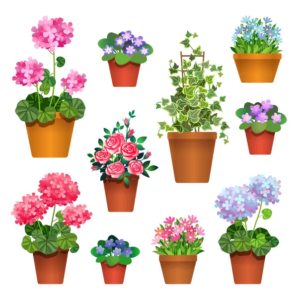 Flores de habitación en macetas — Vector de stock