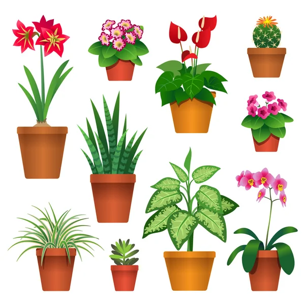 Plantas de interior en macetas — Vector de stock