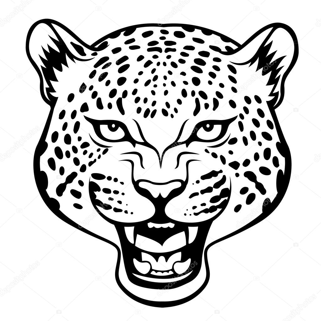 Aggressive leopard head