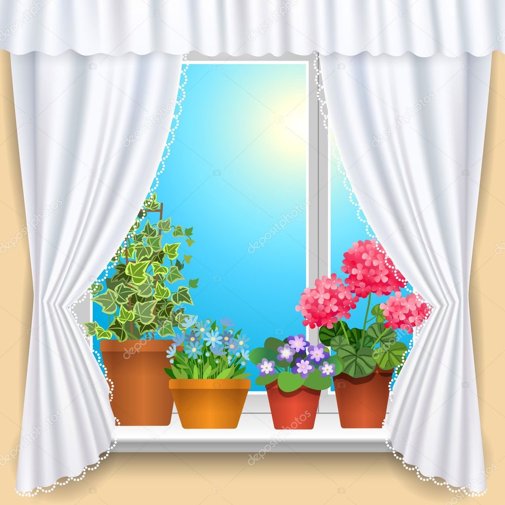 Flowers on window