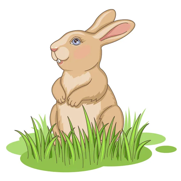 Rabbit in grass — Stock Vector