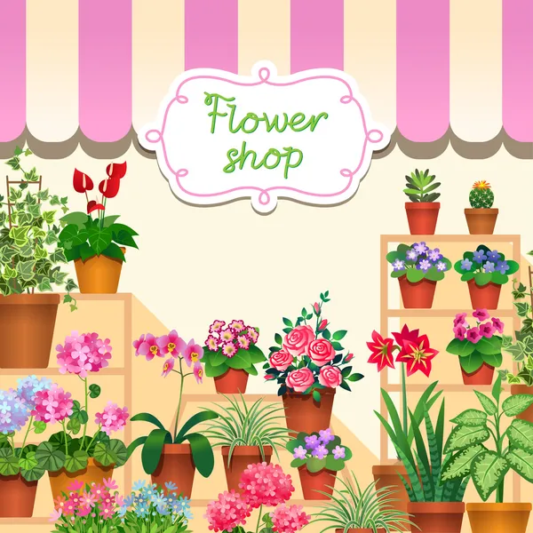 çiçek Shop gösterisi penceresinde houseplants