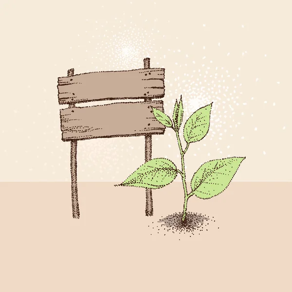 Доска и зеленое растение — стоковый вектор