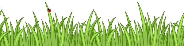 Erba verde — Vettoriale Stock