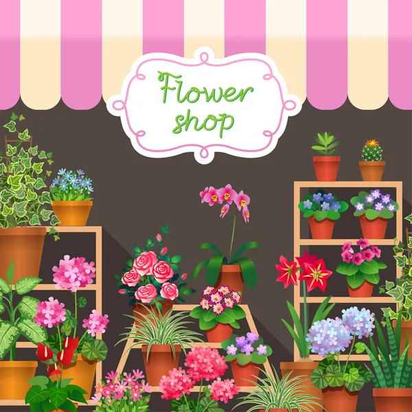 Houseplants in show-window of flower shop — Stock Vector