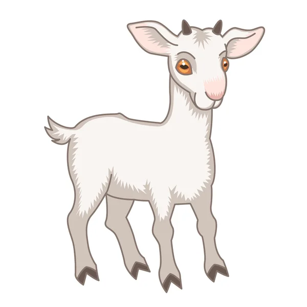 Malá koza — Stockový vektor