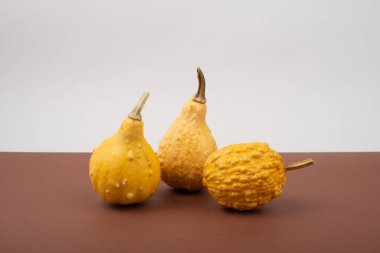 Kahverengi ve beyaz arka planda küçük dekoratif sarı balkabakları.