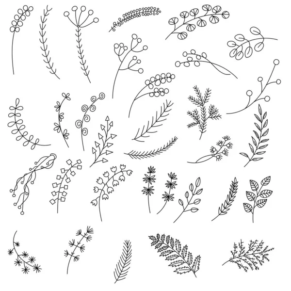 Ramitas dibujadas a mano y conjunto de flores. Estilo de línea Doodle. — Archivo Imágenes Vectoriales