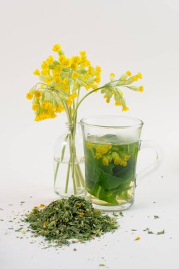 İnekkuşu, Primula verisi - taze çiçekler, çay ve kurumuş bitkiler..