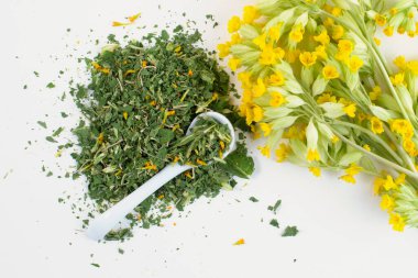 Kurutulmuş inek ayağı, Primula verisi, sağlıklı bitki çayı, küçük kaşık ve taze çiçekler için, üst manzara..