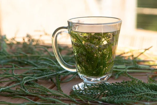 Fresh yarrow herb tea. Achillea millefolium. Healing homeopathy. Close up..