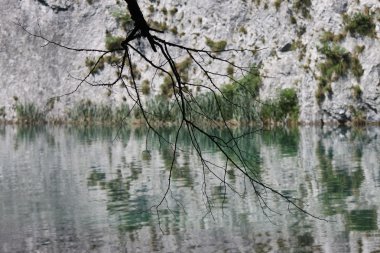 Plitvice Gölleri, Hırvatistan (yansıma ve dalları)