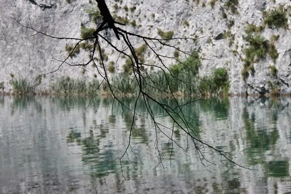 Λιμνών Plitvice, Κροατία (αντανάκλαση & κλαδιά) — Φωτογραφία Αρχείου