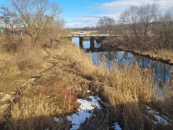 Paysages Ukraine Petite Rivière Couverte Glace Passerelle Marais Hummocks Arbustes — Photo