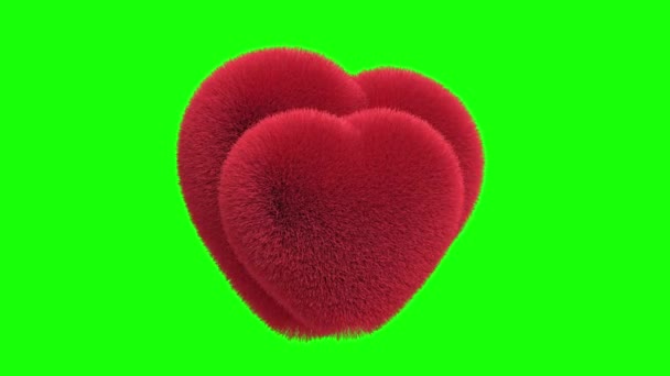 矢で2本の赤い毛皮の心の3Dアニメーション。愛の概念です。バレンタインデーのアニメーション — ストック動画