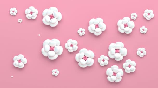 Animazione 3D di cartoni animati fiori bianchi su sfondo rosa — Video Stock