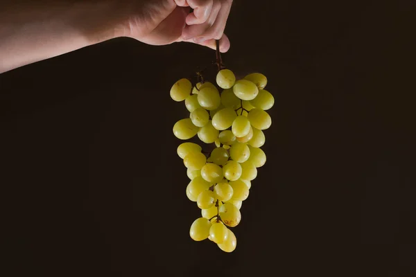 Grape held in hand — Stock Photo, Image