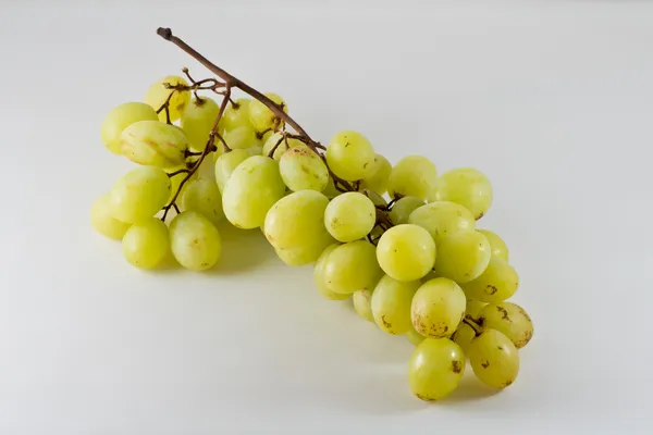 Isolated green grape on white background — Stock Photo, Image