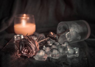 Koyu arkaplanda buzda pembe gül