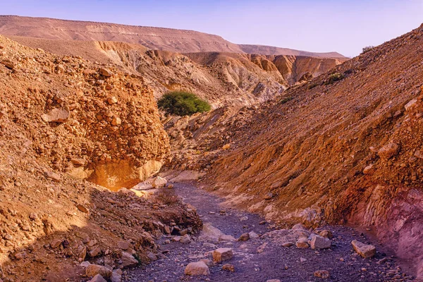 Red Canyon Eilat Dağlarda Srail — Stok fotoğraf