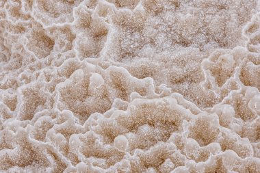 Ölü Deniz, İsrail 'in tuzlu kıyı dokusu.