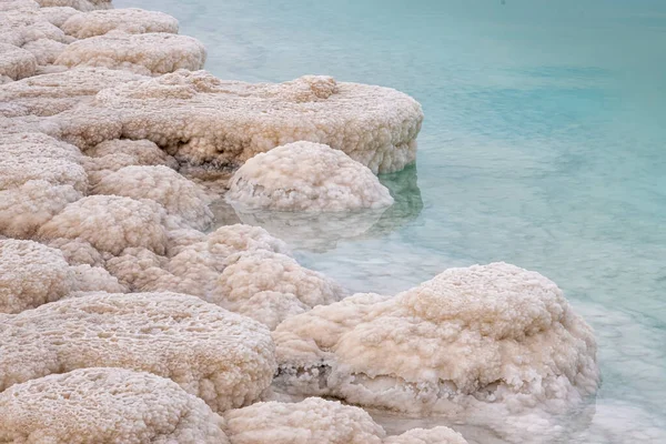 Texture Salée Rivage Mer Morte Israël Images De Stock Libres De Droits