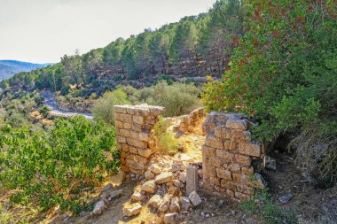 Sataf National Park in the Jerusalem Hills, Israel.