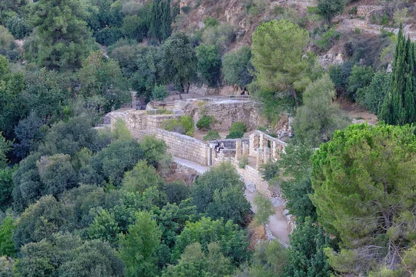 Sataf National Park Jerusalem Hills Israel Stockbild