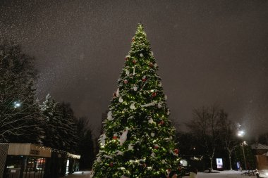 Şehir parkında Noel süslemeli bir ağaç duruyor, akşam alacakaranlığı döneminde, dışarıda kar yağıyor, ışıklar açık.