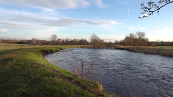 Video Una Curva Río Eamont Con Ovejas Pastando Campo Cerca — Vídeo de stock