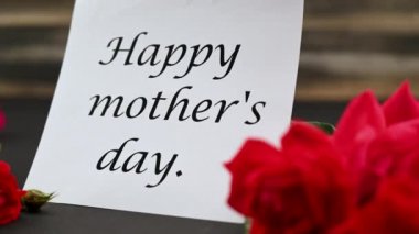 Anneler Günü için tebrik kartı. Kırmızı parlak gül buketi Budson kırsal arka planı, 4K video çekimi..