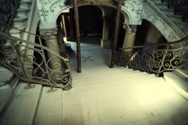 Chomutov Hayvanat Bahçesi, doğadaki yaz günü.