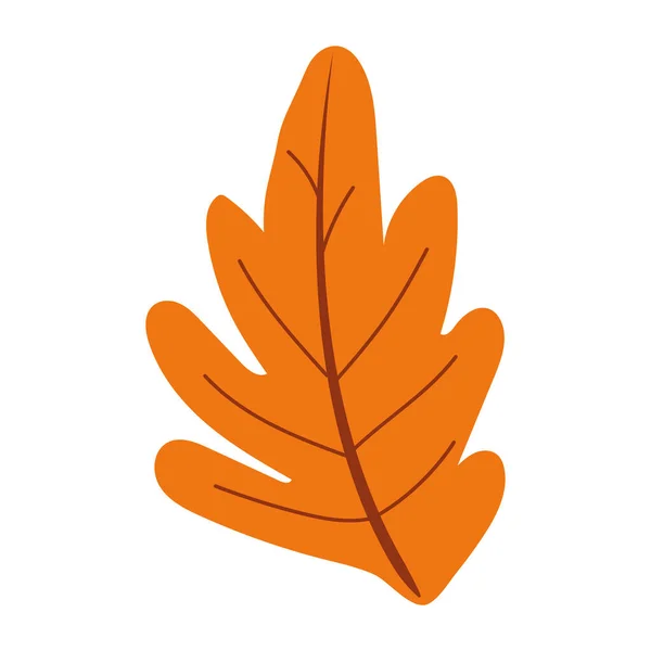 Izolovaná Ikona Přírodního Podzimního Listu Vektorová Ilustrace — Stockový vektor