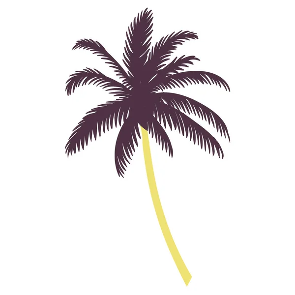 Isolerad Siluett Palm Vektor Illustration — Stock vektor