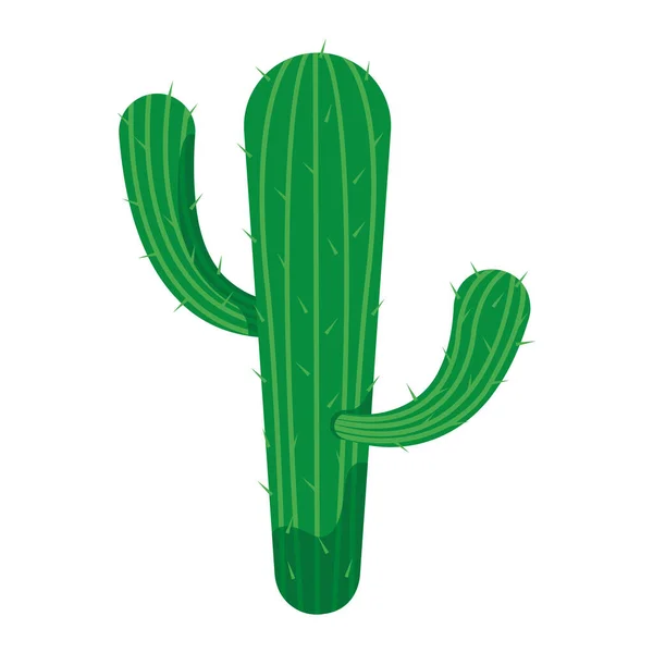 Izolovaná Ikona Zeleného Kaktusu Vektorová Ilustrace — Stockový vektor