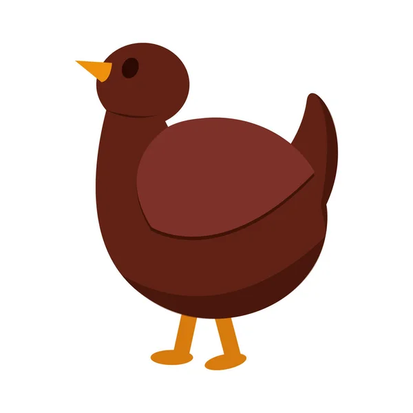Zole Edilmiş Renkli Tavuk Simgesi Düz Deisgn Vektör Illüstrasyonu — Stok Vektör
