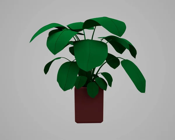 Flower Plant Render Abstract Design Element Minimalist Concept — Zdjęcie stockowe