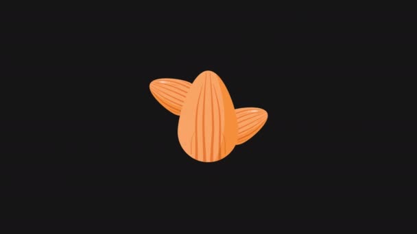 Almond Nuts Icon Motion Graphic Animation Video Alpha Channel Ransparent — Stockvideo