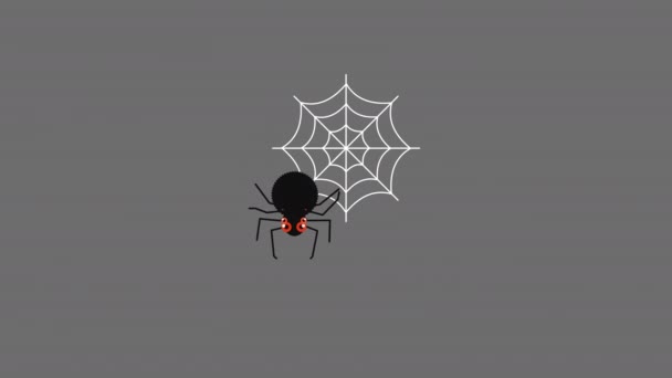 Spider Spider Web Loop Motion Graphics Video Transparent Background Alpha — Stock video